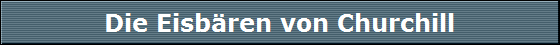 Die Eisb�ren von Churchill